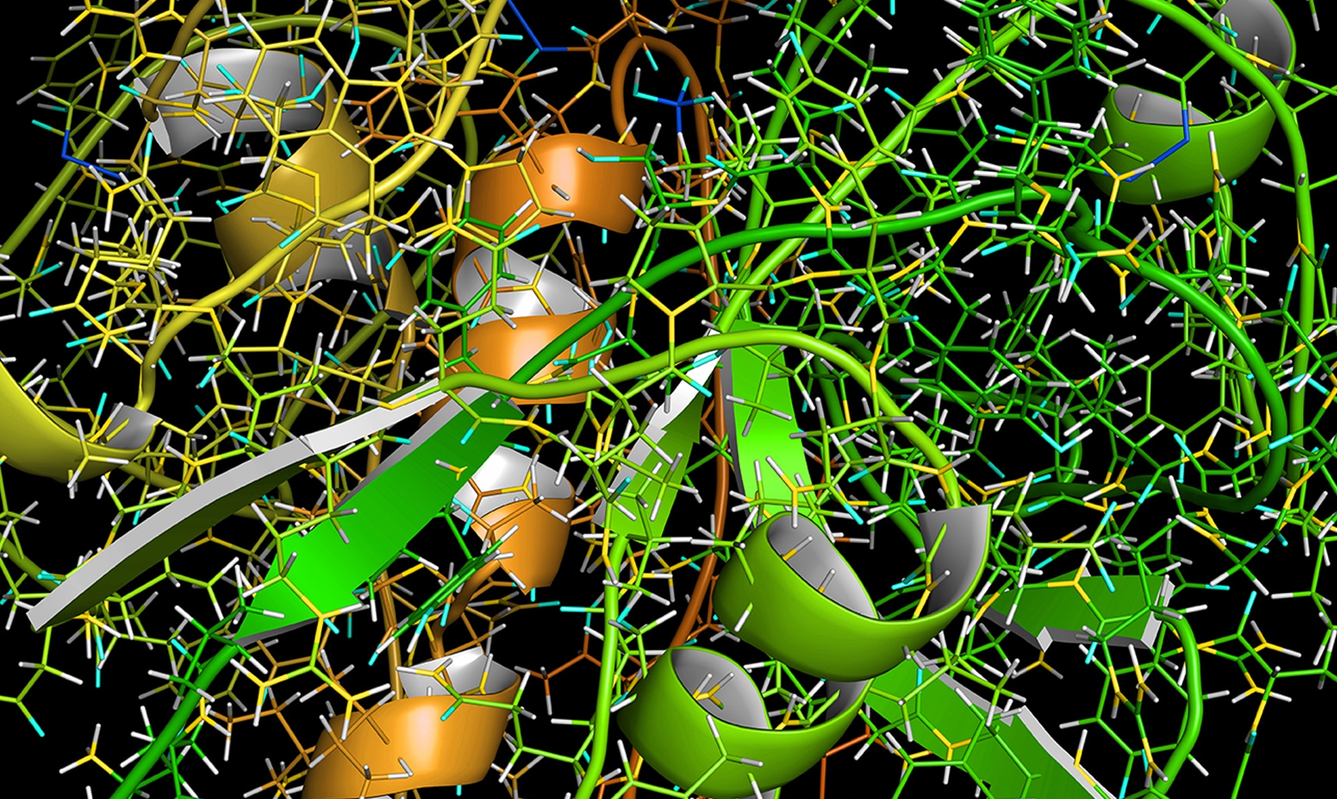 Caractéristiques de la bromélaïne, complexe multienzymatique